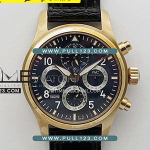 [89630 MOVE] IWC Pilot IW3922 RG V9F Best Edition - 아이더블유씨 파일럿 베스트에디션